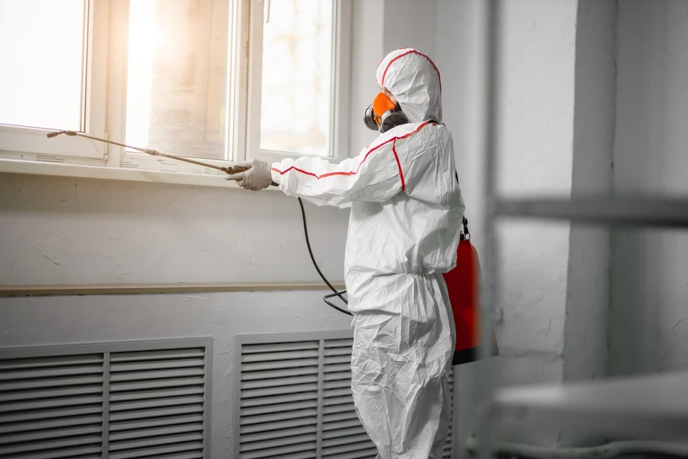 Professional mold remediation services in Rocky Point, NY